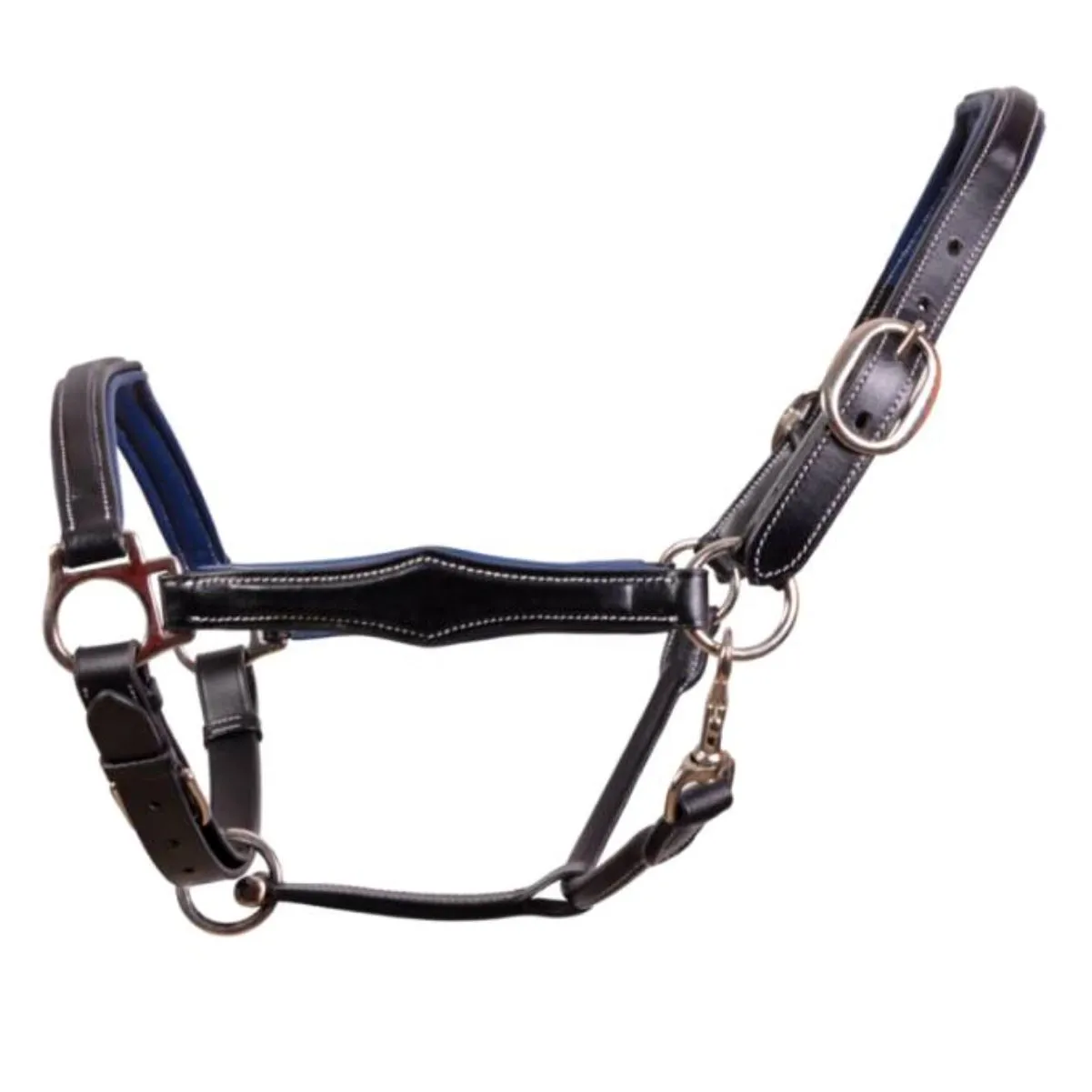 Horse halter Horse halter